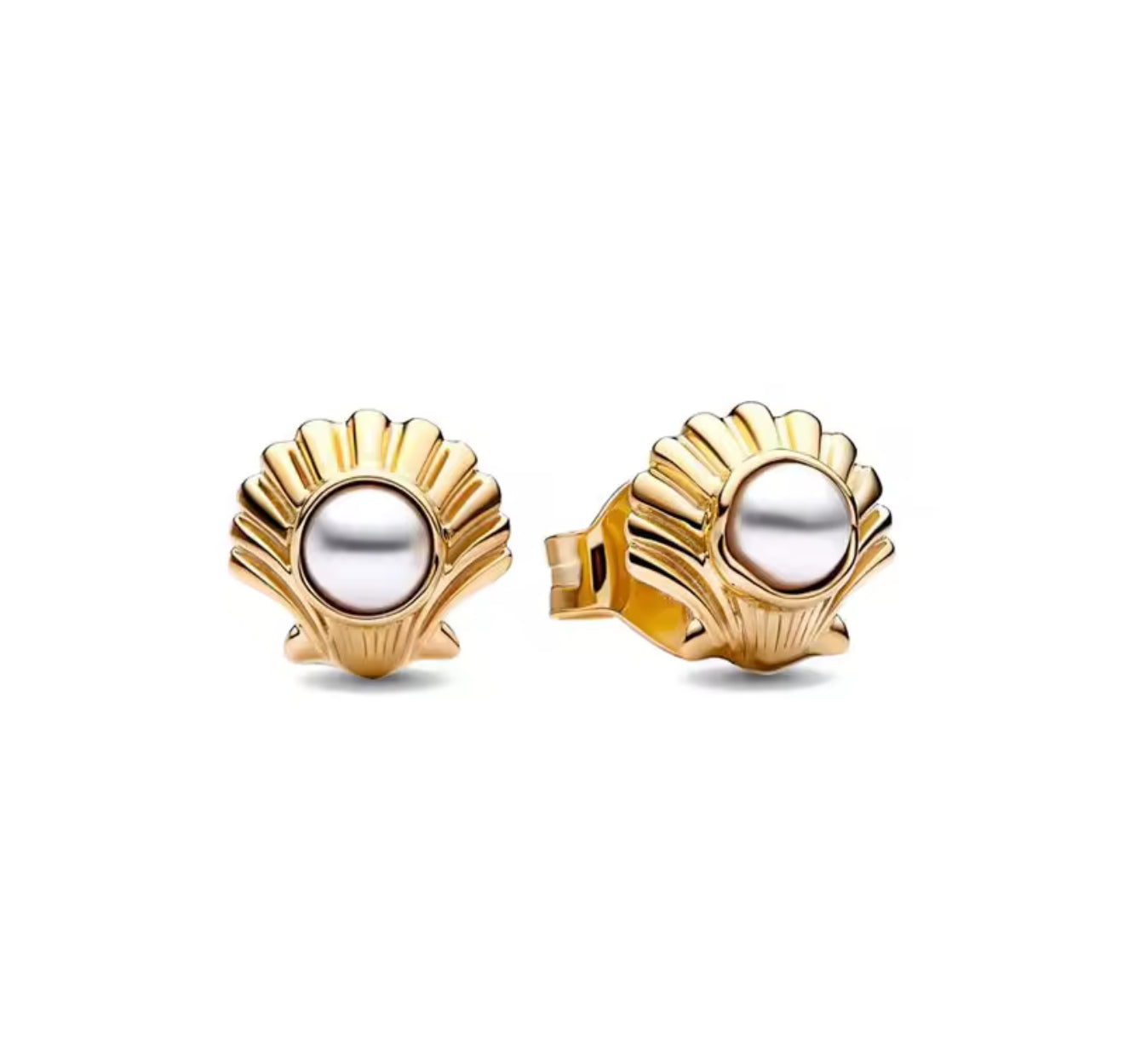 The Gold Beach Shell Studs Earrings