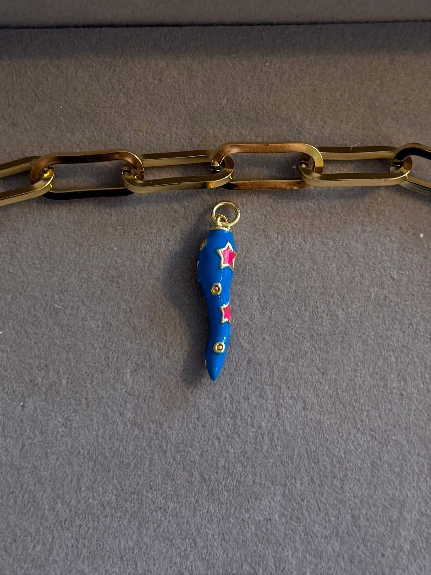 The Blue Chilli Charm Me