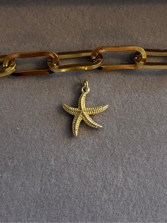 The Maldivian Little Starfish Charm Me