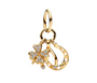 The Gold Lucky Clover Charm