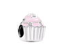 The Cute Little Cupcake Charm