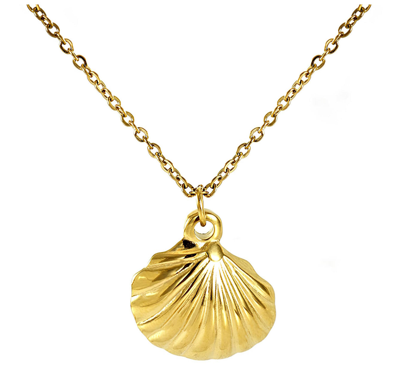 The Coastal Glow Shell Necklace