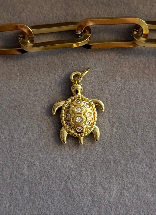 The Maldivian Sea Turtle Charm Me