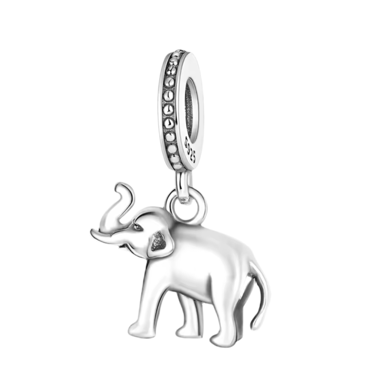 The Beautiful Elephant Charm