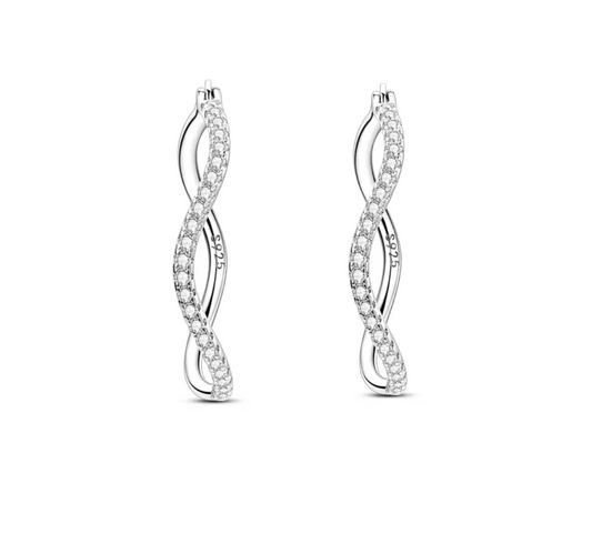 The Silver Lustrous Loop Hoops