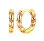 The Gold Pink Striped Hoops Earrings
