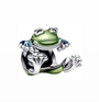 The Beautiful Princesses Frog Charm