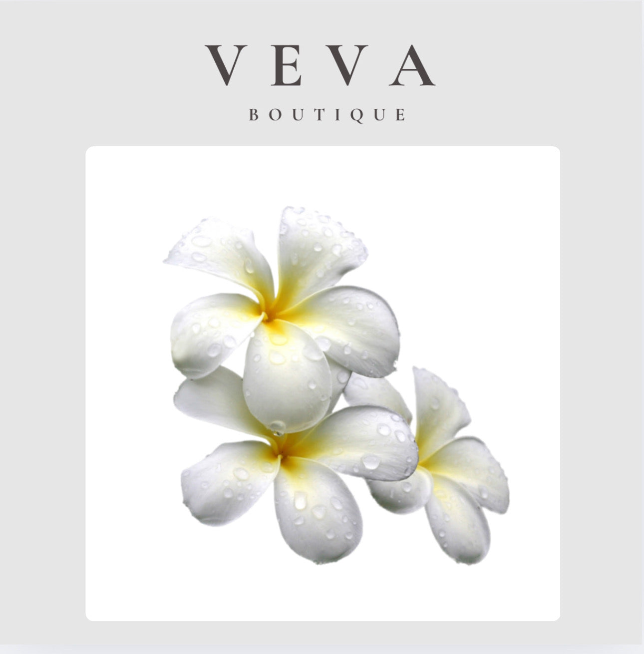 Veva Boutique Wax Melts (50g)